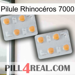 Pilule Rhinocéros 7000 25